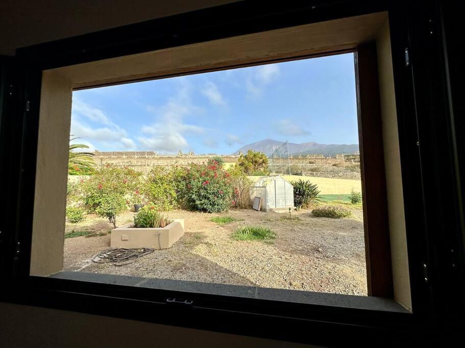 Peaceful Oasis With Magical Sea Views And A Pool Villa Santa Cruz de Tenerife Bagian luar foto