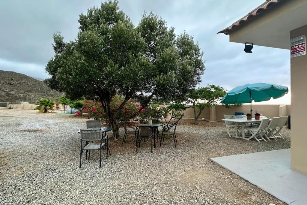 Peaceful Oasis With Magical Sea Views And A Pool Villa Santa Cruz de Tenerife Bagian luar foto