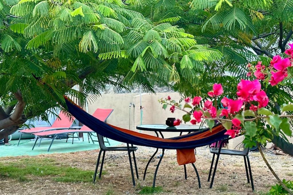 Peaceful Oasis With Magical Sea Views And A Pool Villa Santa Cruz de Tenerife Bagian luar foto