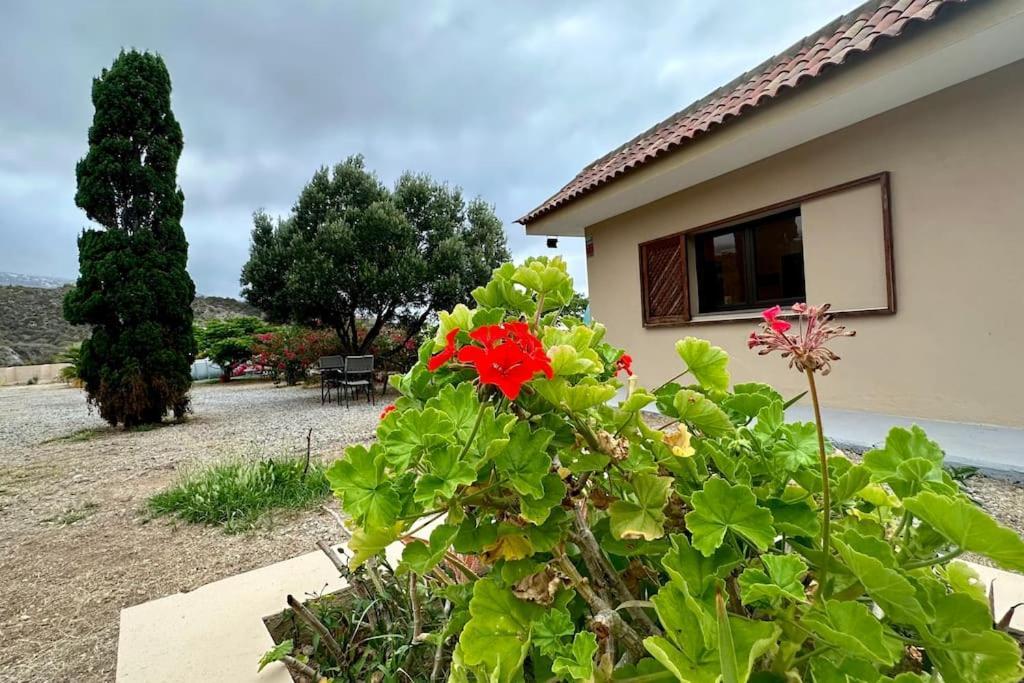 Peaceful Oasis With Magical Sea Views And A Pool Villa Santa Cruz de Tenerife Bagian luar foto